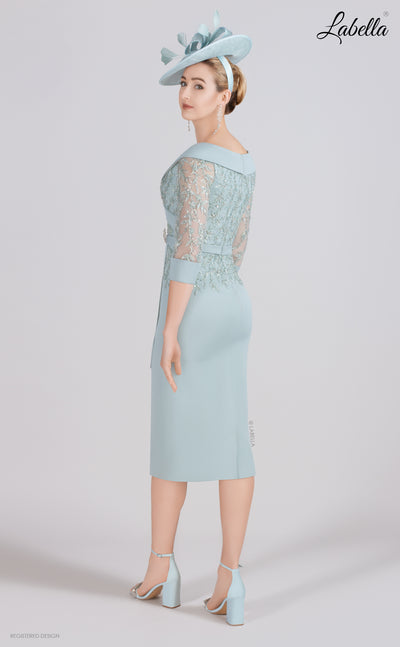 Duckegg Dress with Sheer Sleeve and Floral Beading Detail