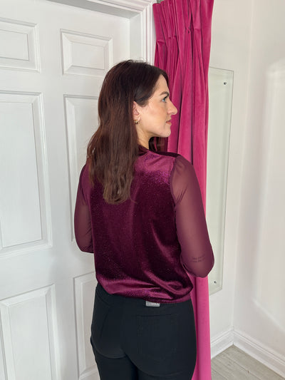 Wine Glitter Top with V-Neck and Sheer Sleeves